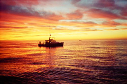 FreeFish7 Calendar Gallery