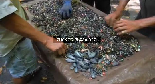 LEAD IN OREGON STREAMS
